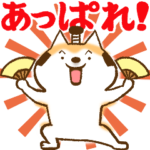 柴ちん5+ 柴犬とお祝い