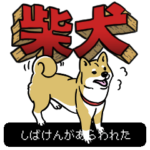 柴犬クエスト