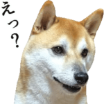 動く！柴犬の写真スタンプ3