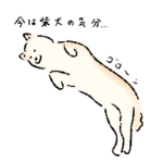 シンプルな柴犬たち（白）