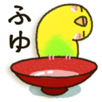 インコちゃん 冬パック