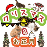 日常にゃんこ激しく動く！クリスマス&正月