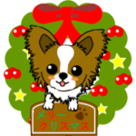 動く！パピヨンの