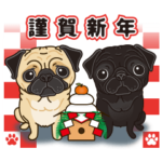 気軽にパグ 年末年始編
