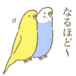 とりちゃんたちの敬語