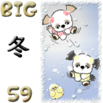 シーズー犬 59『冬』