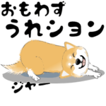 激しく尻尾をふる犬 3