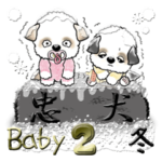 Babyシーズー犬 2『冬』