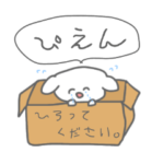 あざとい犬、イッヌてゃん