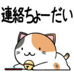 動く！下町のネコ4