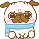 冬♡パグちゃんず