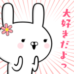 大好きな人に送る☆女子力高い系☆うさぎ