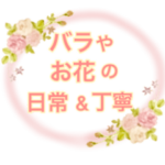 バラ お花 大人可愛い 日常＆丁寧♥