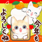 毎年使える♡ねこさん年賀状
