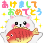 動くよ♪ ポメラニアン ぽちゃん 年末年始