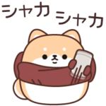 全部寒さのせいにするイヌ