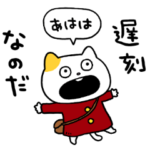 のんびりねこの１日