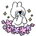 すこぶる動くウサギ