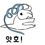 すこぶる動くウサギ5