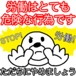 ヒモックマ 11匹目