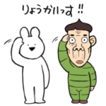 コッカ×すこぶる動くウサギ