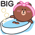 冬によく使う♡ブラウン＆コニー