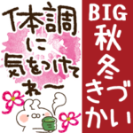 BIGねことうさぎの♡秋～冬♡きづかい♡