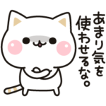 気づかいのできないネコ★