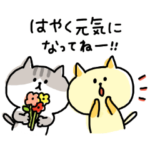 ゆるゆるニャンコの気づかいメッセージ