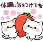 気づかいのできるネコ♪ 動く春＆健康編