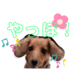 キューピーのスタンプ 2