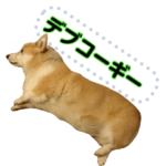 デブのコーギーローライダー