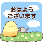 もふピヨ メッセージスタンプ