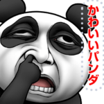 かわいいパンダさんのメッセージスタンプ