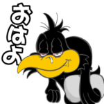 CORVO  『武井勇輝』