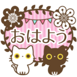 大人かわいい上品な白黒猫