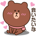 大好き♡ブラウン＆コニー３