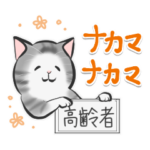中高年ねこ４