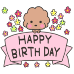 トイプードルのビビ♡お誕生日・お祝い♡