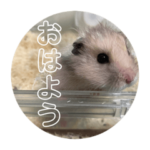 同居人のネズミ 第二弾