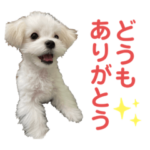 ルル坊スタンプ☆