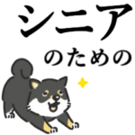 ひと目で見つかる敬語黒シバ