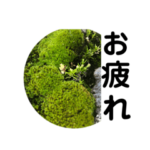 シニアのスタンプ