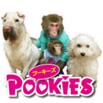 Pookies Stickers2