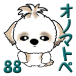 シーズー犬 88『おのまとぺ』