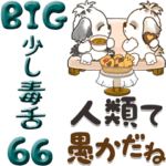 シーズー犬 66『ちょっと毒舌』