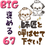 シーズー犬 67『褒める』