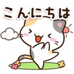 大人な返信☆小さい三毛猫