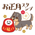 ダックス大好き季節 正月◆黒タン