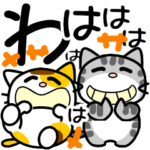 可愛いにゃんこ達BIG